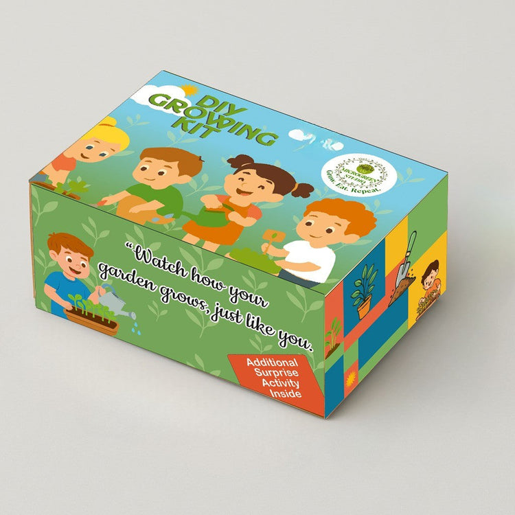 Kids DIY Microgreen Kit - Our Little Green Explorers
