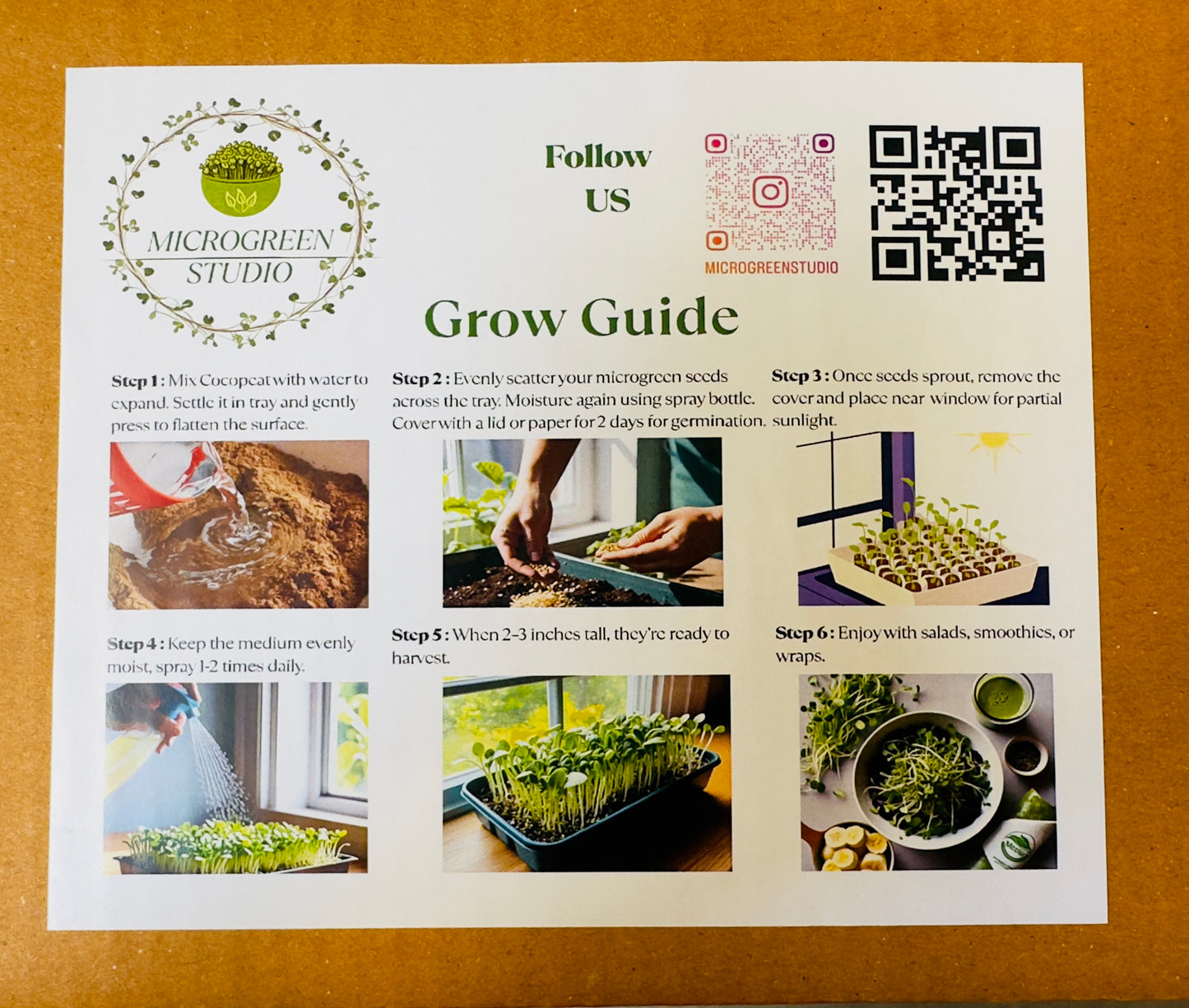 Beetroot + Mustard DIY Microgreen Studio kit