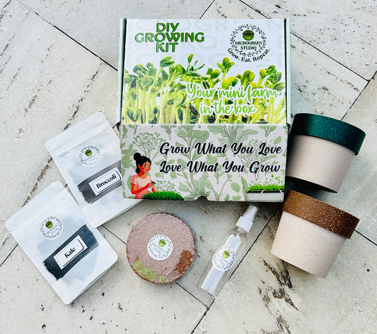 Microgreen Gift Combo – 2 Seeds & Pots | Healthy Eco-Friendly Gift Box