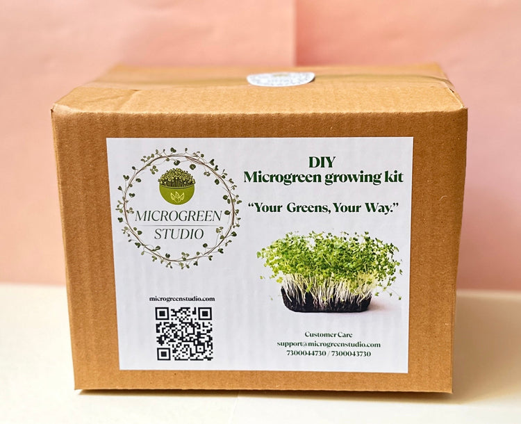 DIY microgreen growing kit for home gardening