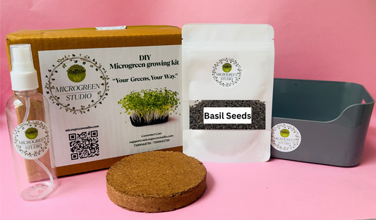 Basil Seeds DIY Microgreen Studio kit