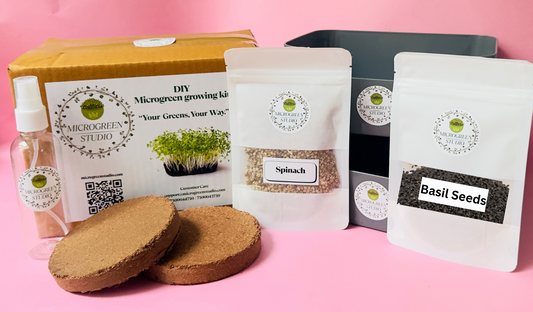 Basil Seeds + Spinach DIY Microgreen Studio kit