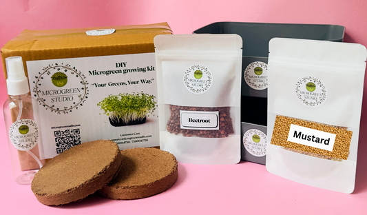 Beetroot + Mustard DIY Microgreen Studio kit