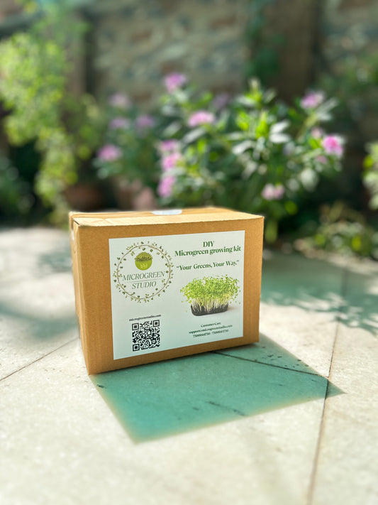 Beetroot DIY Microgreen Studio kit