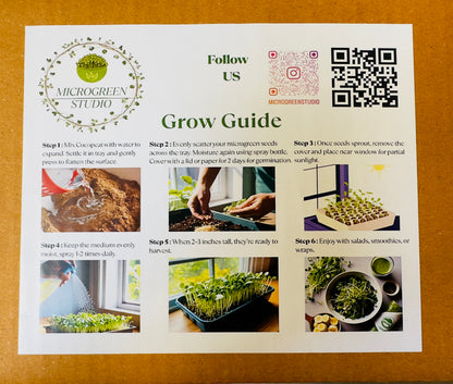 Healthy Living Starter Kit – Grow Fresh Microgreens Indoors