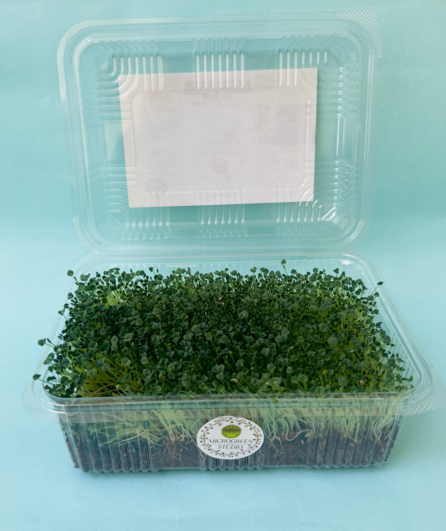 Microgreen Seeds Combo | Non-GMO, High Germination, Healthy Gift Kit
