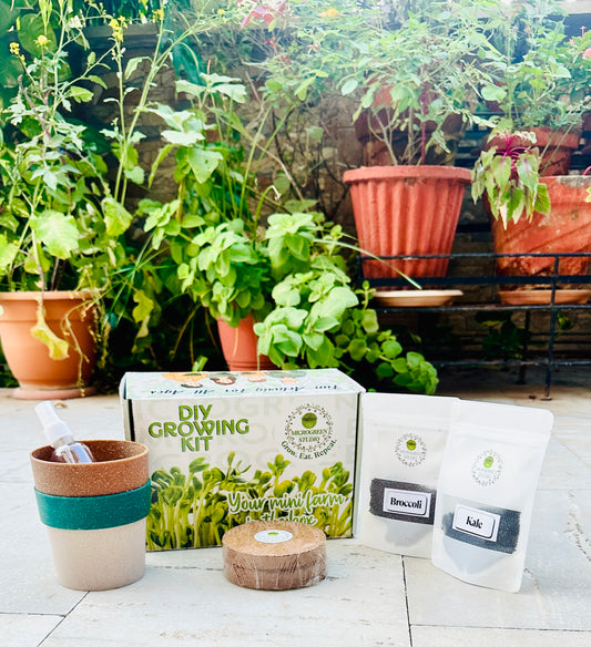 Microgreen Gift Combo – 2 Seeds & Pots | Healthy Eco-Friendly Gift Box