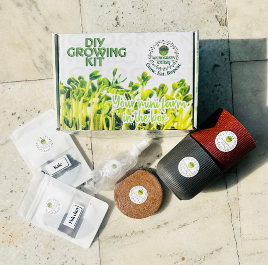 Microgreen Gift Combo – 2 Seeds & Pots | Healthy Eco-Friendly Gift Box
