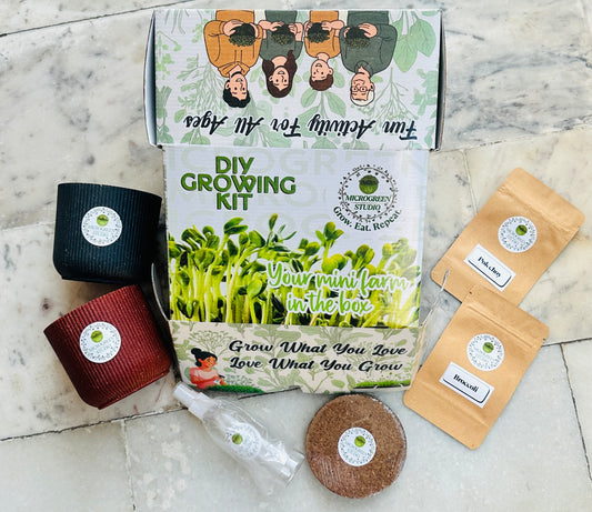 Microgreen Gift Combo – 2 Seeds & Pots | Healthy Eco-Friendly Gift Box