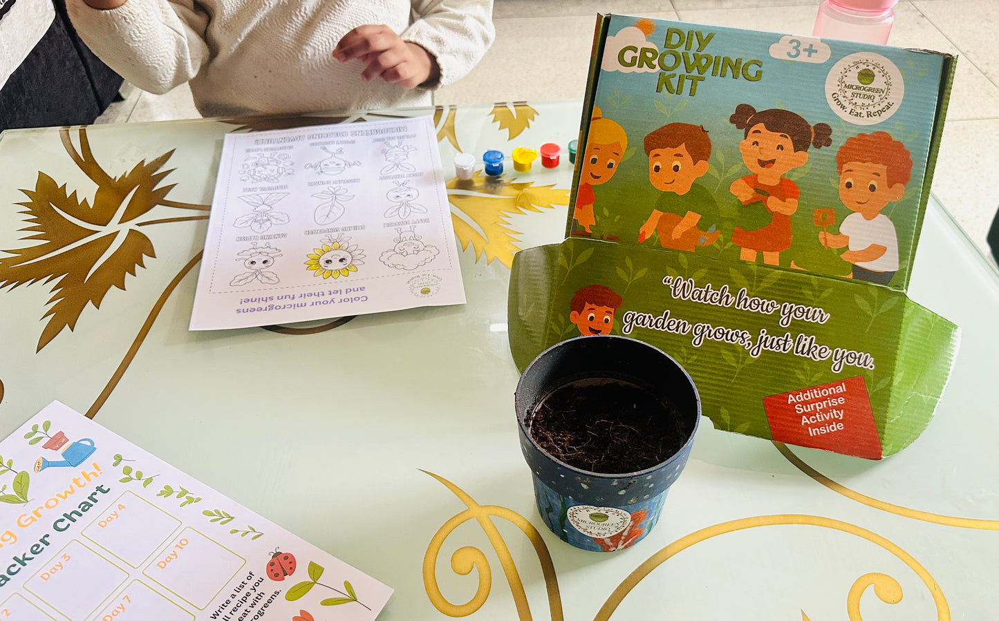 Kids Microgreen Kit – Fun Gardening Kit for Kids | Grow, Play & Learn Healthy Superfoods