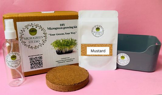 Mustard DIY Microgreen Studio kit