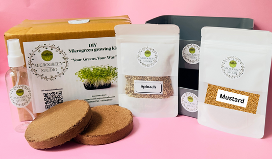 Mustard + Spinach DIY Microgreen Studio kit