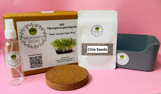 Chia Seeds DIY Microgreen Studio kit