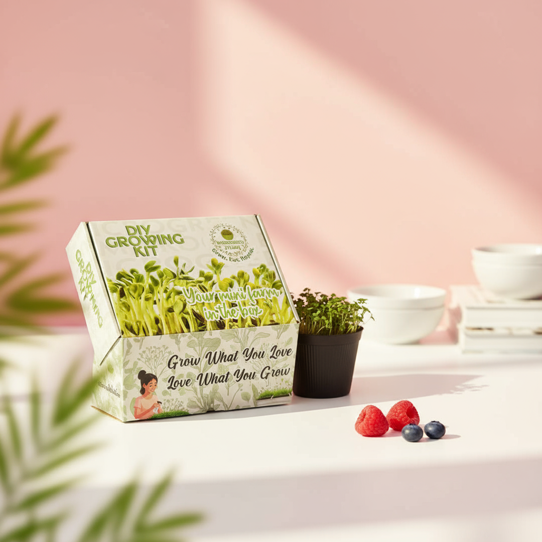 Microgreen Kit Gift Box – Grow Fresh Organic Superfoods at Home | Unique Eco-Friendly Gift